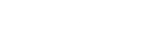 RUN BUG